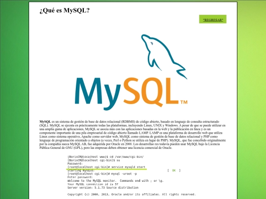 Mysql screenshot