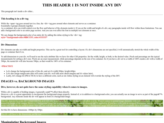 DIVS-lesson-students screenshot