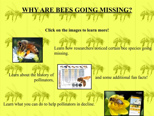 pollinator_home screenshot