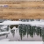 vhz-snow.yorniq.xyz avatar
