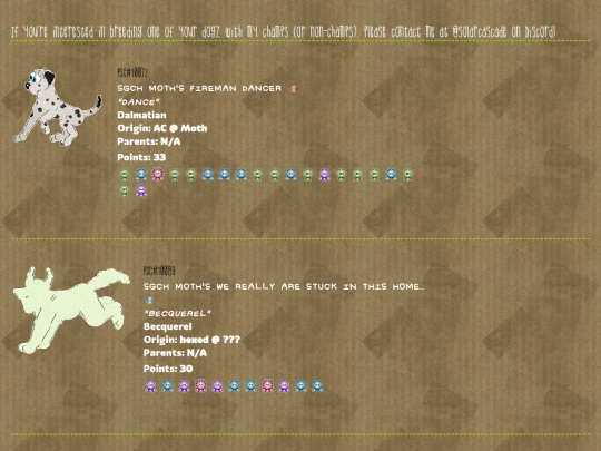 dogchamps screenshot