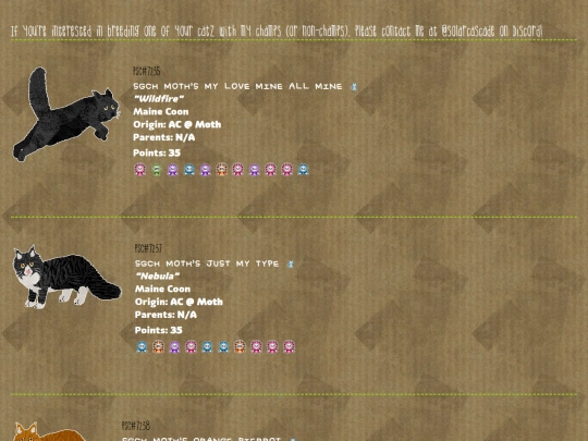 mainecoonschamps screenshot