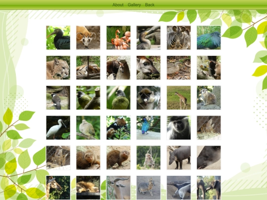 zoo screenshot
