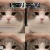 damn i havent touched this in a while avatar