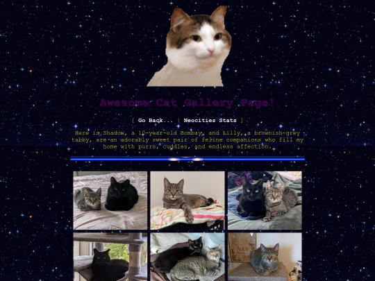 gallery screenshot