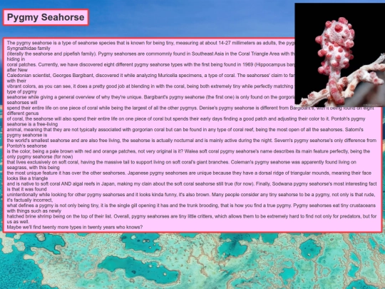 PygmySeahorse/PygymySeahorse screenshot