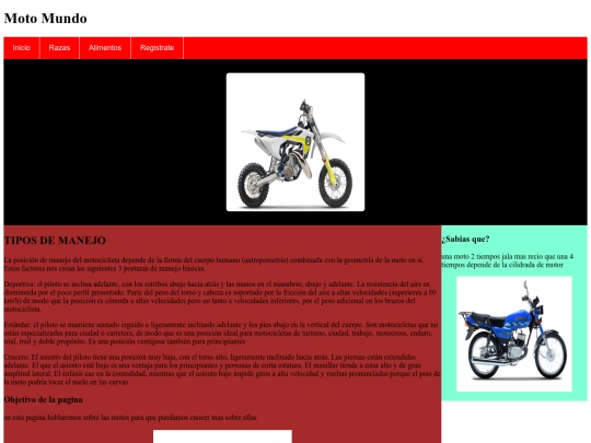 proyectofinal/marcas screenshot