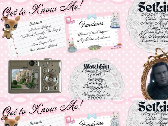 diary screenshot