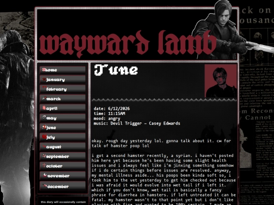 diary screenshot