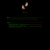 evelynsblog.yorniq.xyz avatar