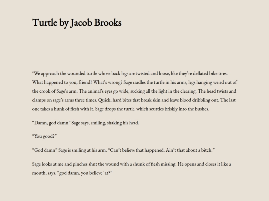turtle-by-jacob-brooks screenshot