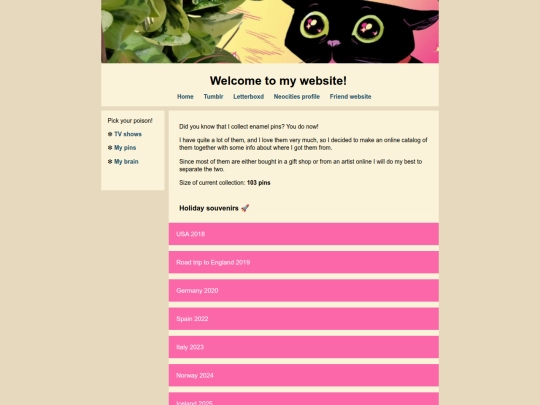 ThePinBord screenshot
