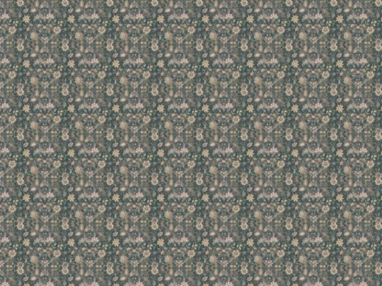 programming screenshot