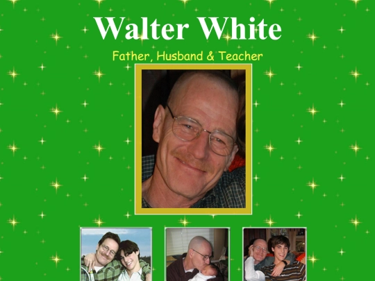 fakeweb/savewalterwhite.com screenshot