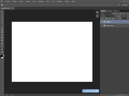 photoshop/editor screenshot