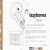 lazybones.yorniq.xyz avatar