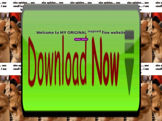 test screenshot