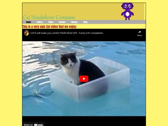 video screenshot