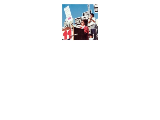 NCRR_archives/welcome_photos/pages/j1994MiyaUnionizeNewOtani screenshot