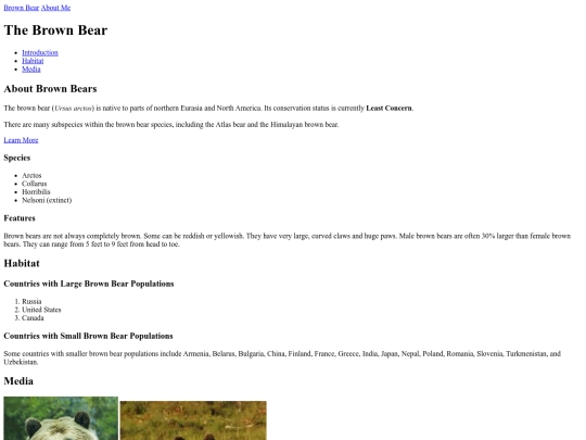 bearpage screenshot