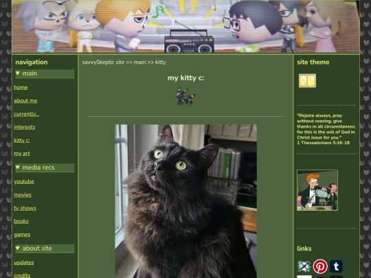 kitty screenshot