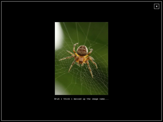 hipuzzlercobwebbing4 screenshot