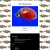 Website-Title avatar
