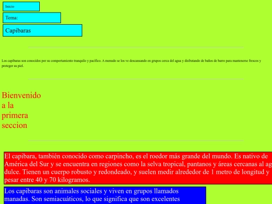 pagina web de paises/index2 screenshot