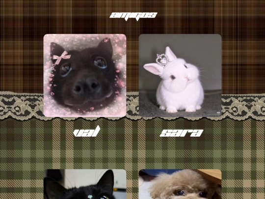 sorpresa screenshot