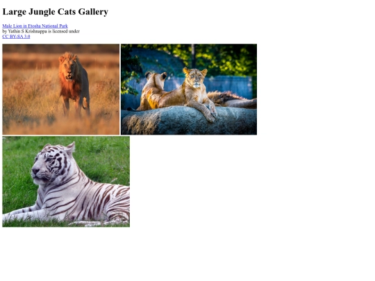 gallery screenshot