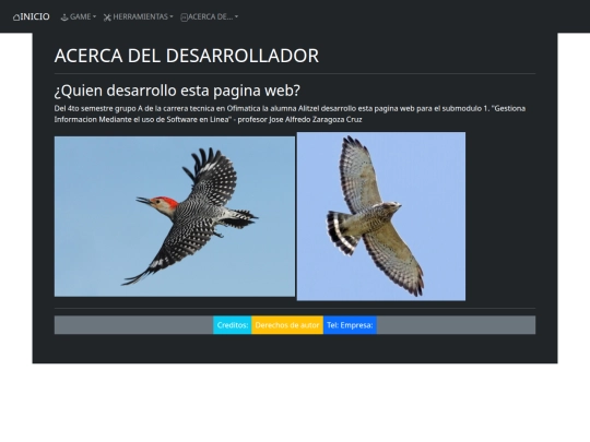 sitio web/pag/acerca del desarrollador screenshot