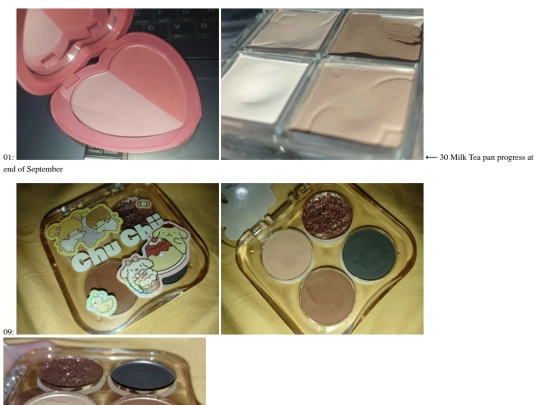 ventricle/vanity/pallery/202510 screenshot