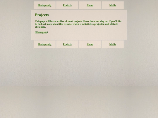 projects screenshot