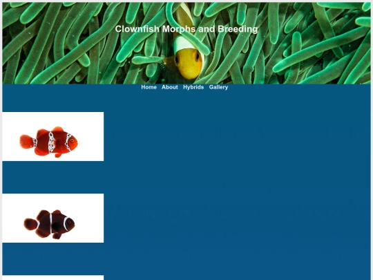 maroon-morphs screenshot