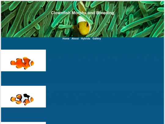 percula-morphs screenshot