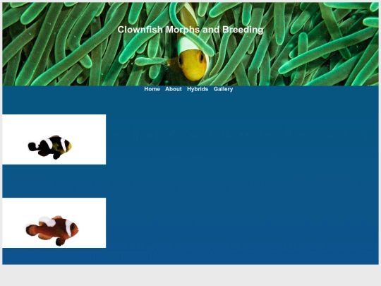 saddleback-morphs screenshot
