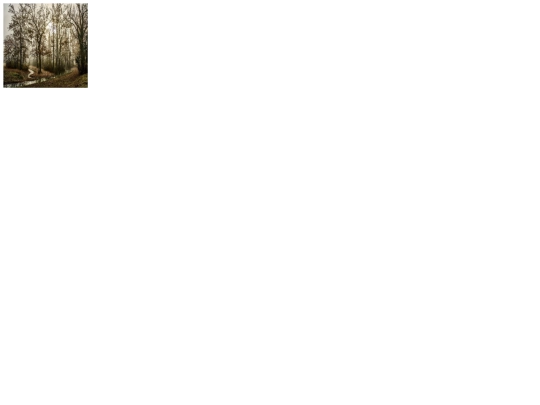 Imagen/Fotos screenshot