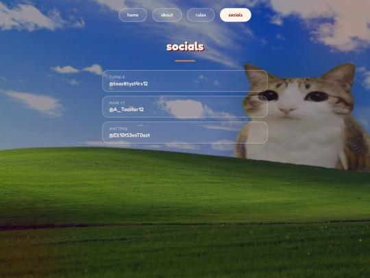 socials screenshot
