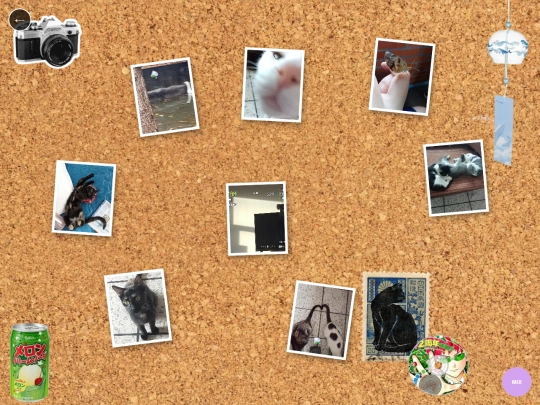 galeria screenshot