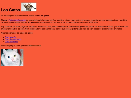 Practica1_DiegoCastelo. screenshot
