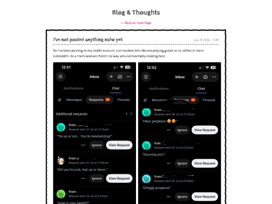 blog screenshot