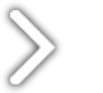 dist/images/next.png