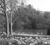 images/picture2.jpg