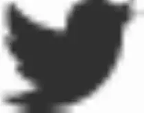 twitter.gif