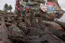 images/large/big_rock/tree_roots_and_rock.jpg