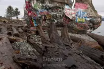 images/small/big_rock/tree_roots_and_rock.jpg