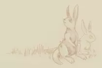 testing/zoidbunny/bunneh-fade.jpg