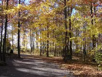 chapter 4/HAndson413/fall.jpg