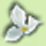 chapter 4/trilliumch4/trilliumbullet.gif