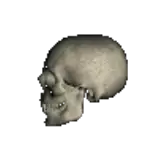 skulljawbop.gif
